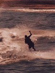 Watersports in Courtown Harbour