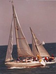 Sailing in Courtown Harbour