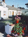 The Row, Seamount, Courtown Harbour